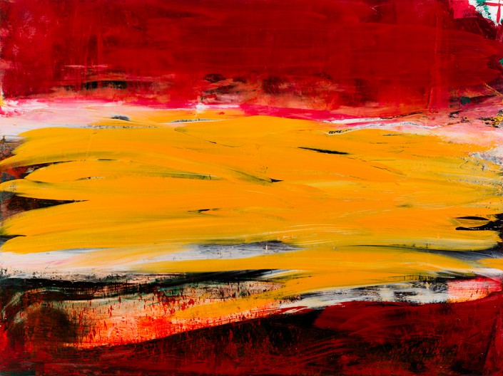 Painting 2011 (2) 160x120cm Damien DIAZ-DIAZ