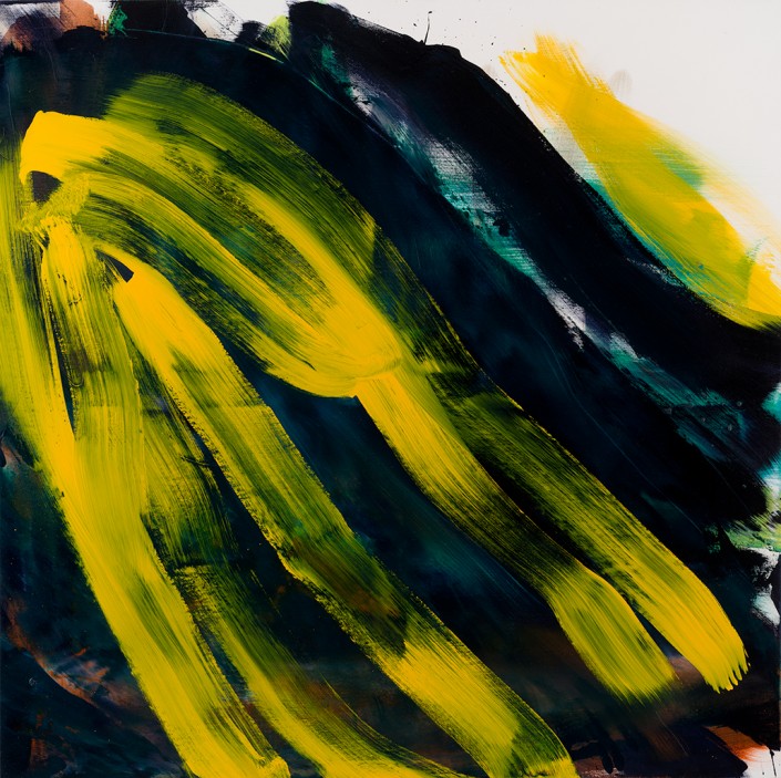 Paintings 2015 (1) 130x130cm Damien DIAZ-DIAZ